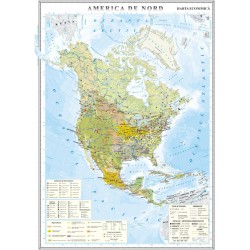 America de Nord. Harta economica