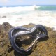 Carabiner Ticket To The Moon pentru hamacuri