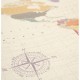 Harta lumii Miss Wood Map Watercolor Tropical XL