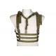 Ham Tactic Chest Rig Cotherium