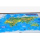 Harta Lumii pentru copii (proiectie 3D), 1000x700mm