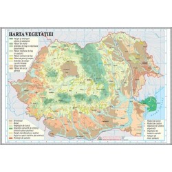 Romania. Harta vegetatiei (1000x700mm), fara sipci