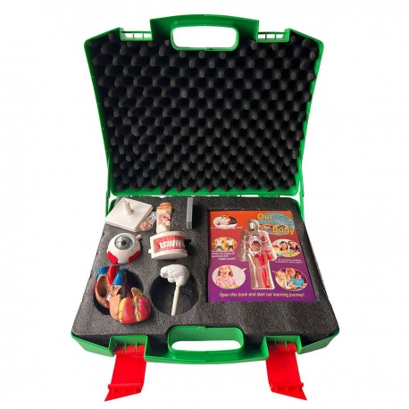 Trusa experimentala Corpul uman (Q)