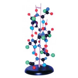 Mulaj structura proteinei secundare