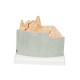 Model structura osoasa microanatomica, 1:80