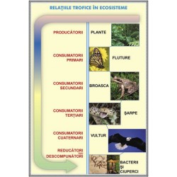 Plansa Relatii trofice in ecosisteme / Feriga DUO