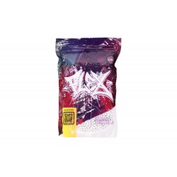 Bile Airsoft Specna Arms FLEX Precision 0.20g 1kg